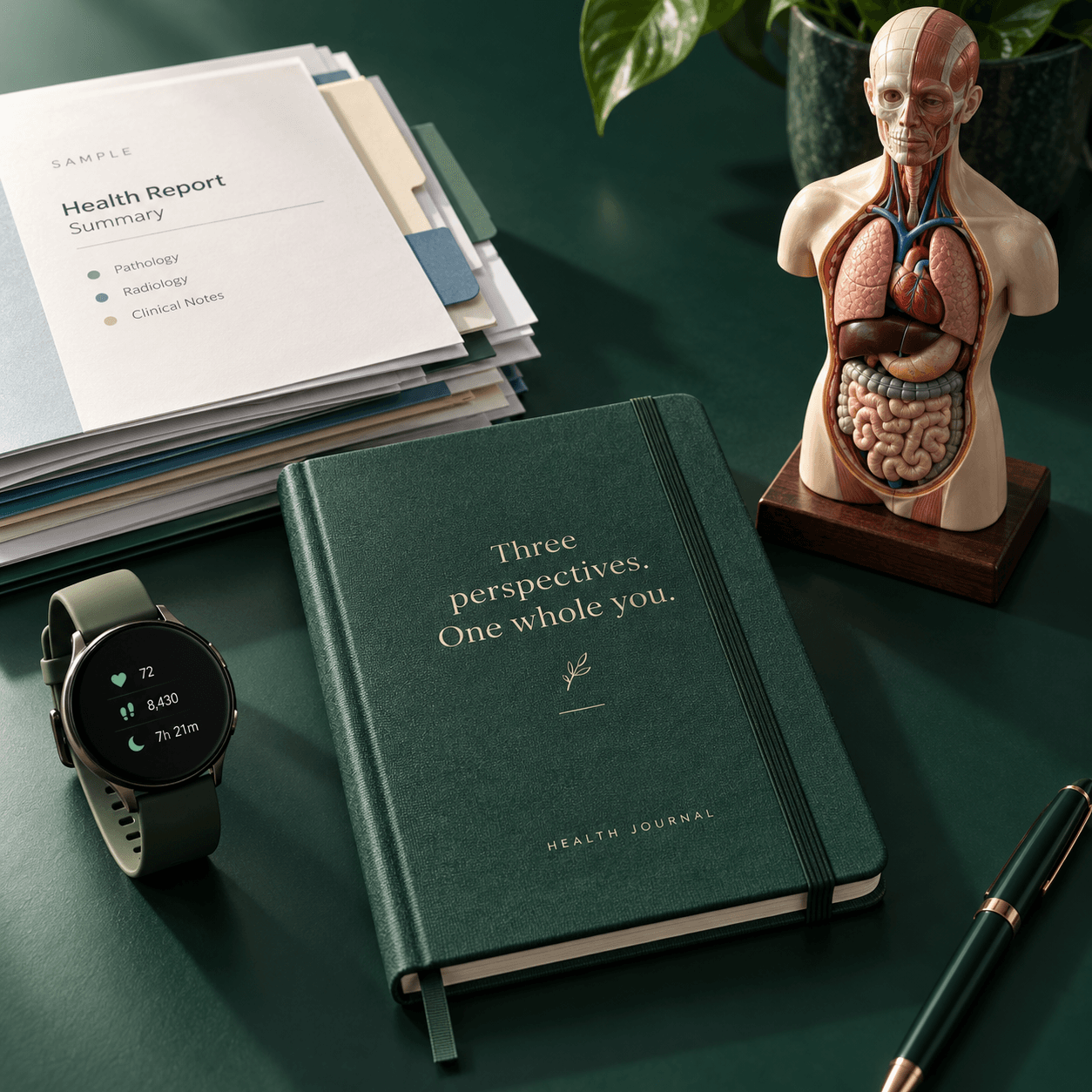 Health reports, a smartwatch, and an anatomical model around one health journal